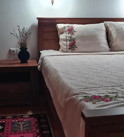 Eco St. Ignatius Villa